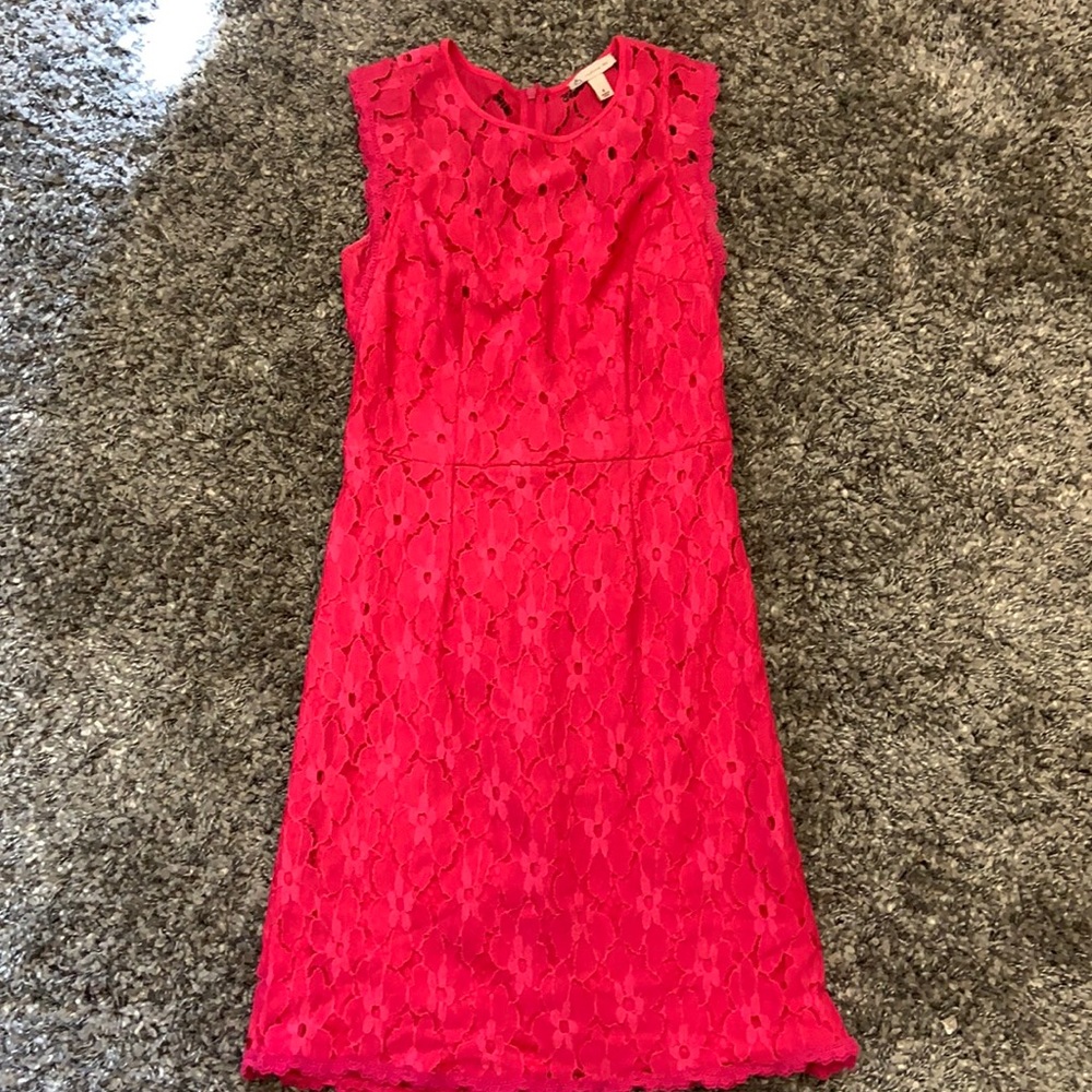 CB pink lace pencil dress size 4